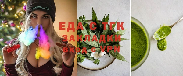 хмурый Аркадак