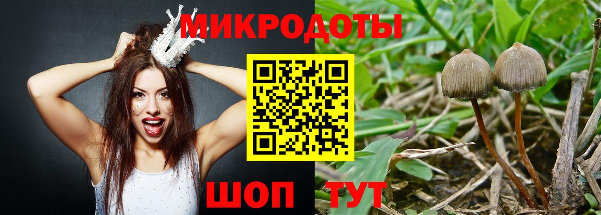 Кореновск  Галлюциногенные грибы Psilocybine cubensis  Галлюциногенные грибы мухоморы  Вход с VPN 