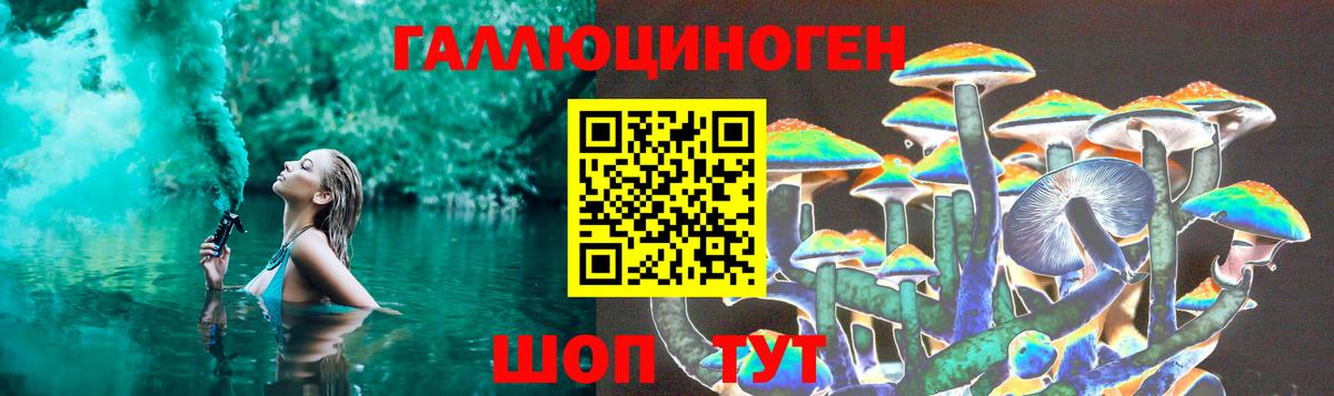 Галлюциногенные грибы Psilocybe Кореновск